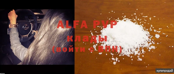индика Бронницы
