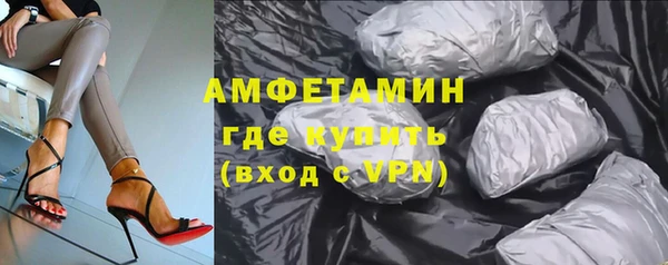 индика Бронницы