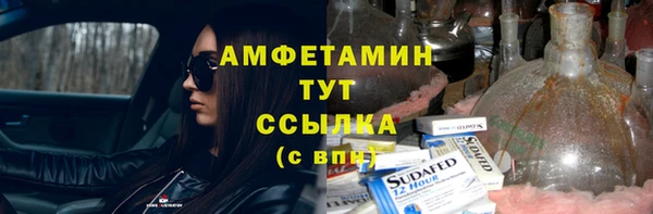индика Бронницы