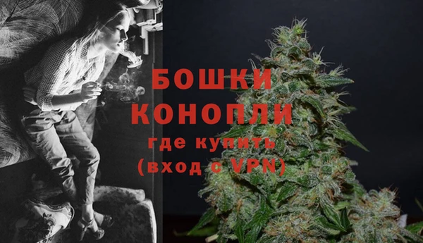 ГАЛЛЮЦИНОГЕННЫЕ ГРИБЫ Богородск