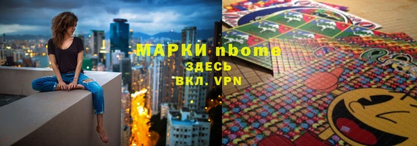 индика Бронницы