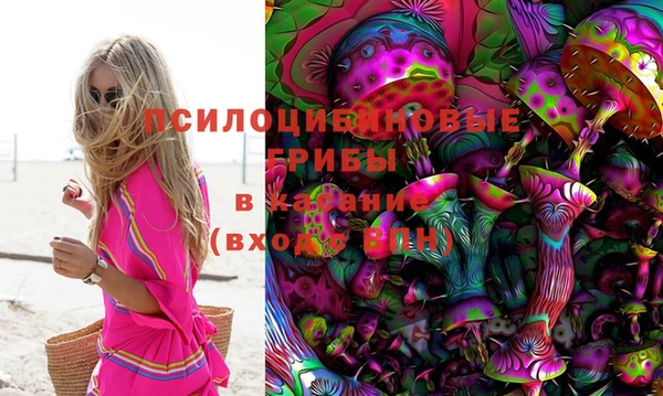 индика Бронницы