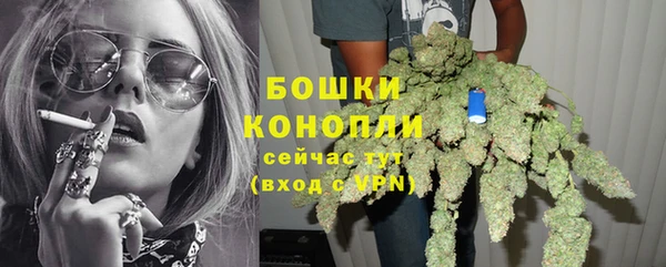 индика Бронницы