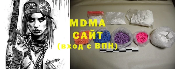 индика Бронницы
