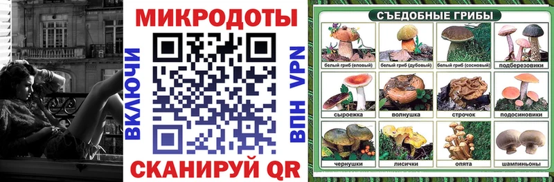 Псилоцибиновые грибы мицелий  Дальнегорск 